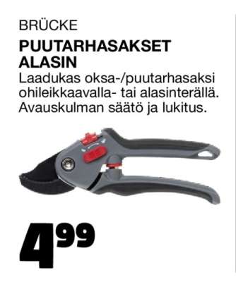 BRÜCKE PUUTARHASAKSET ALASIN