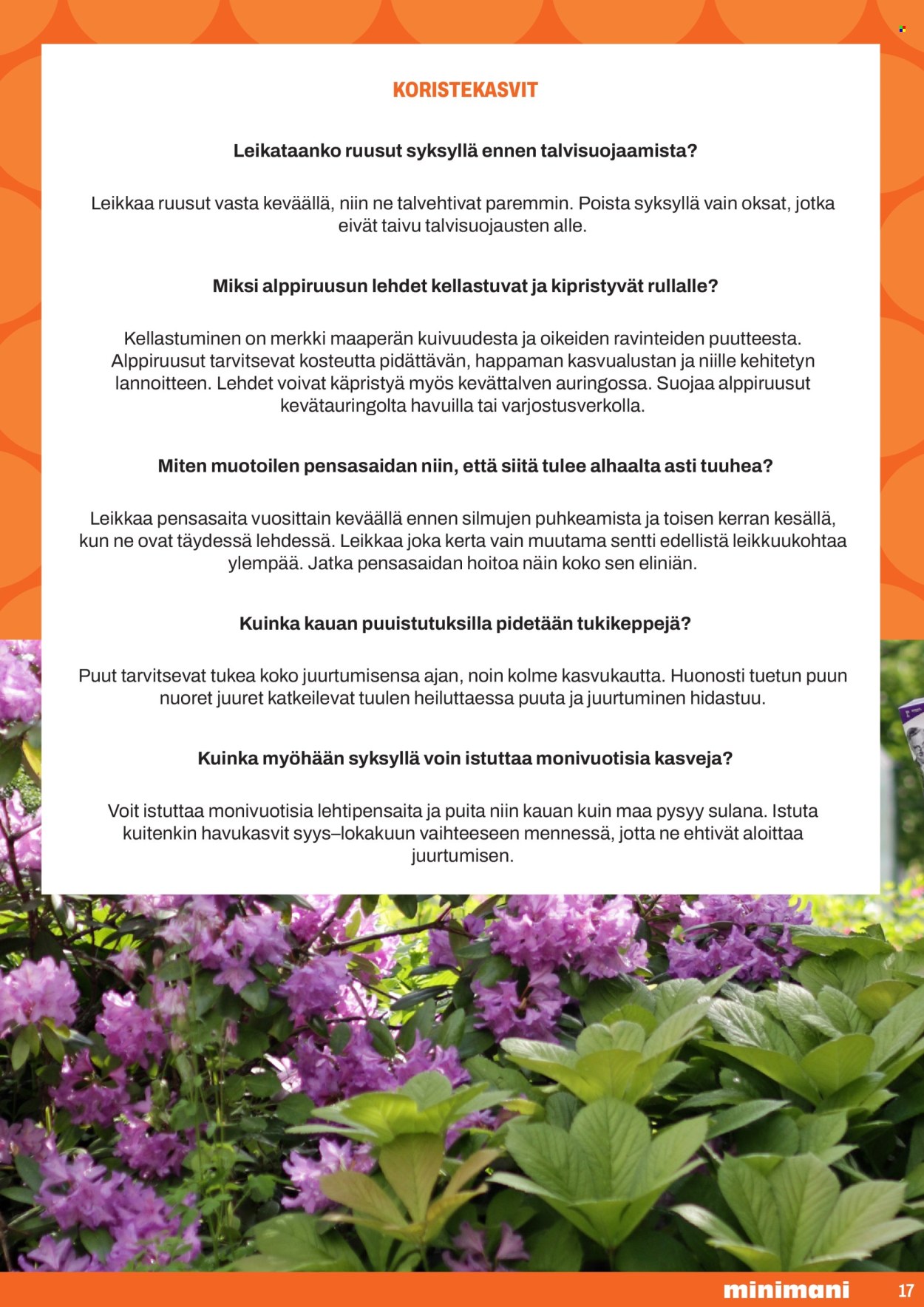 Minimani tarjouslehti .