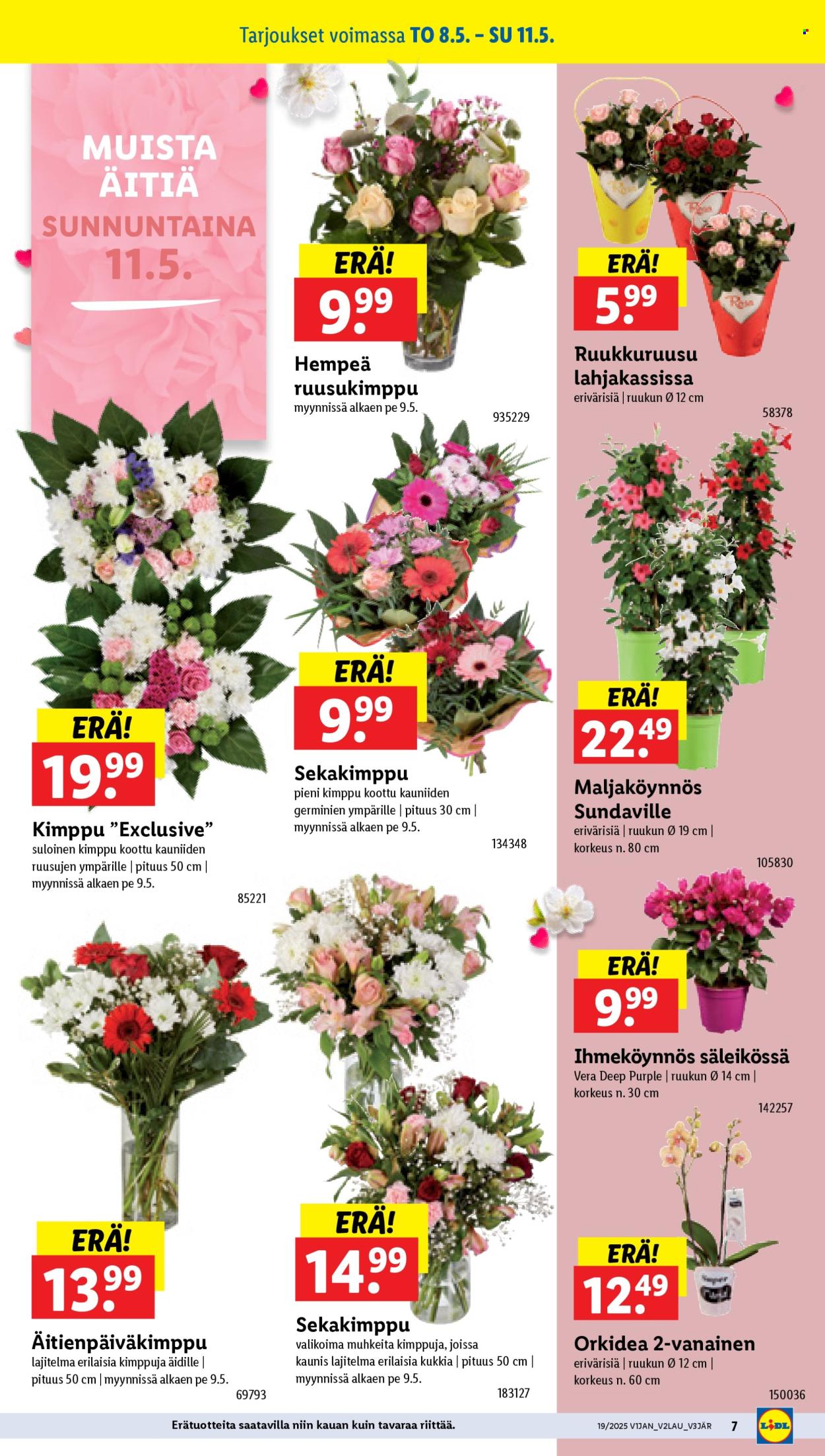 Lidl tarjouslehti  - 08.05.2025 - 14.05.2025.