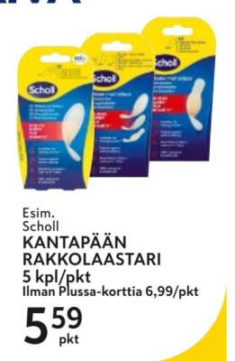 Scholl KANTAPÄÄN RAKKOLAASTARI