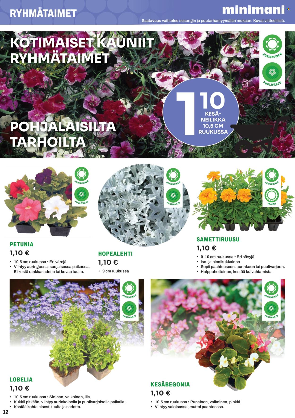 Minimani tarjouslehti .