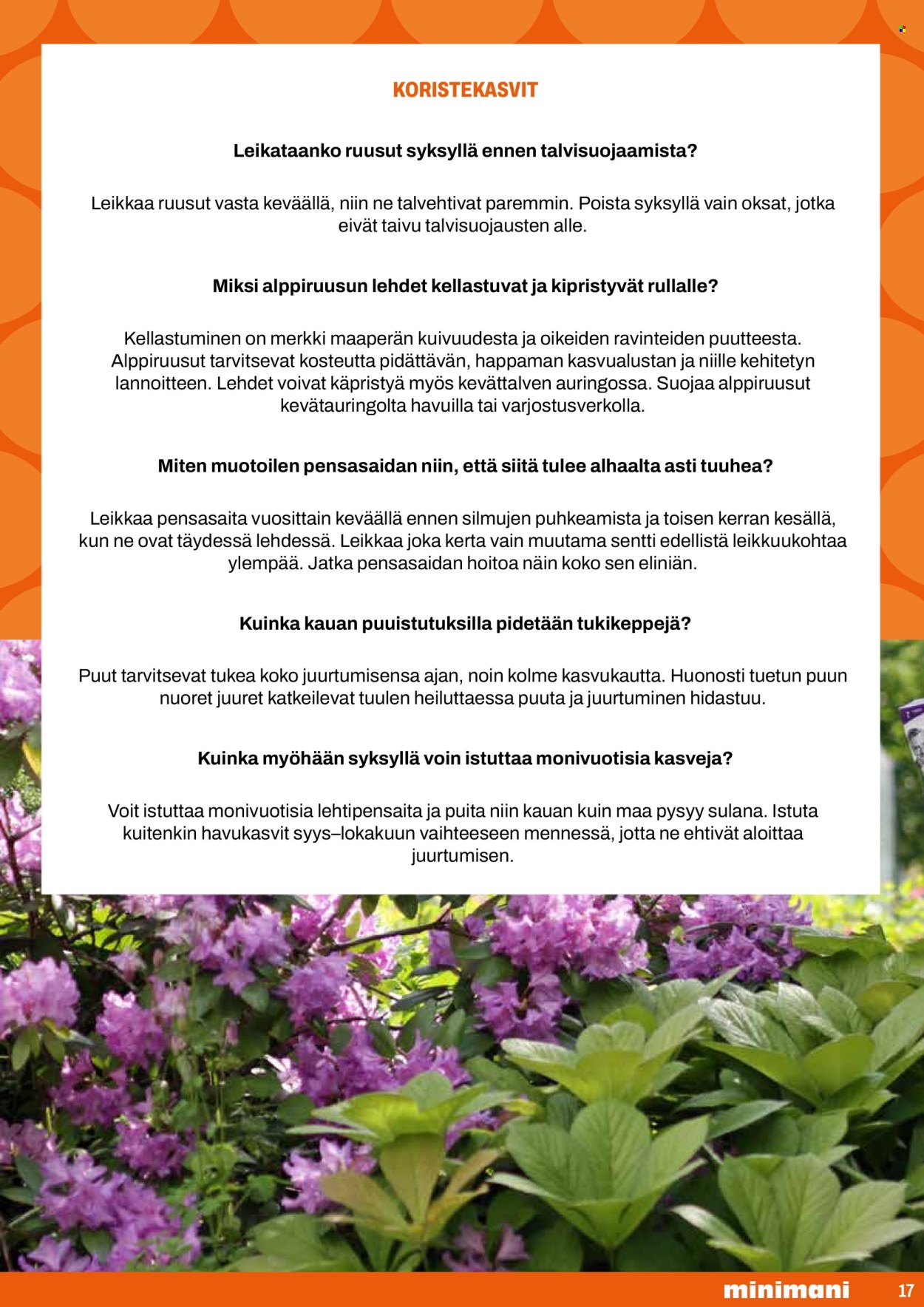 Minimani tarjouslehti . Sivu 17