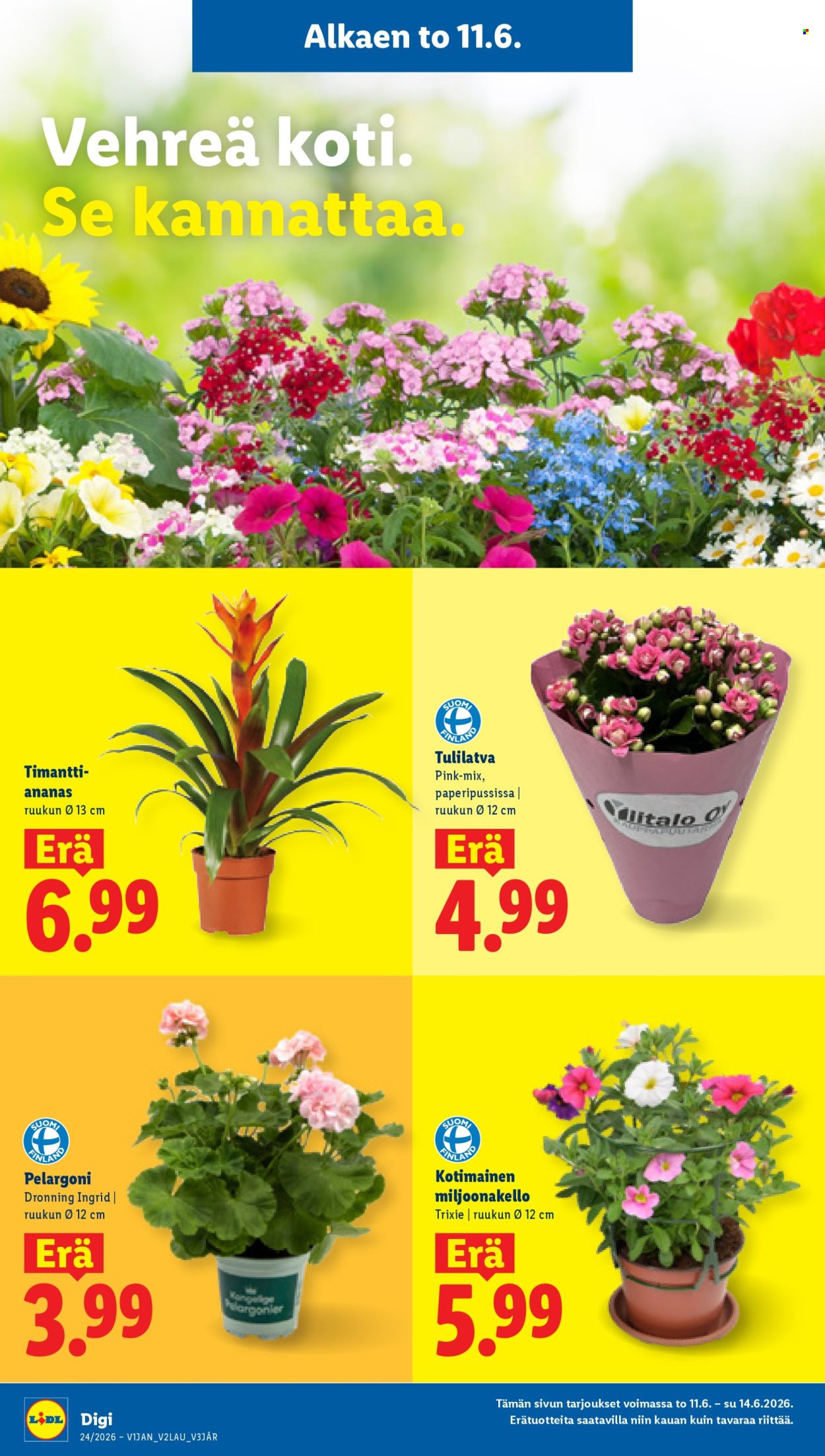 Lidl tarjouslehti  - 11.06.2026 - 16.06.2026. Sivu 20