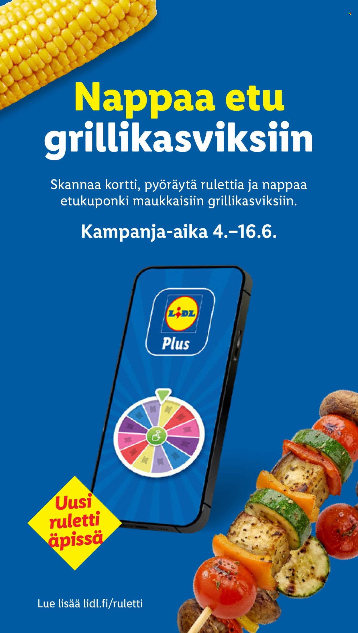 Lidl tarjouslehti  - 11.06.2026 - 16.06.2026. Sivu 22