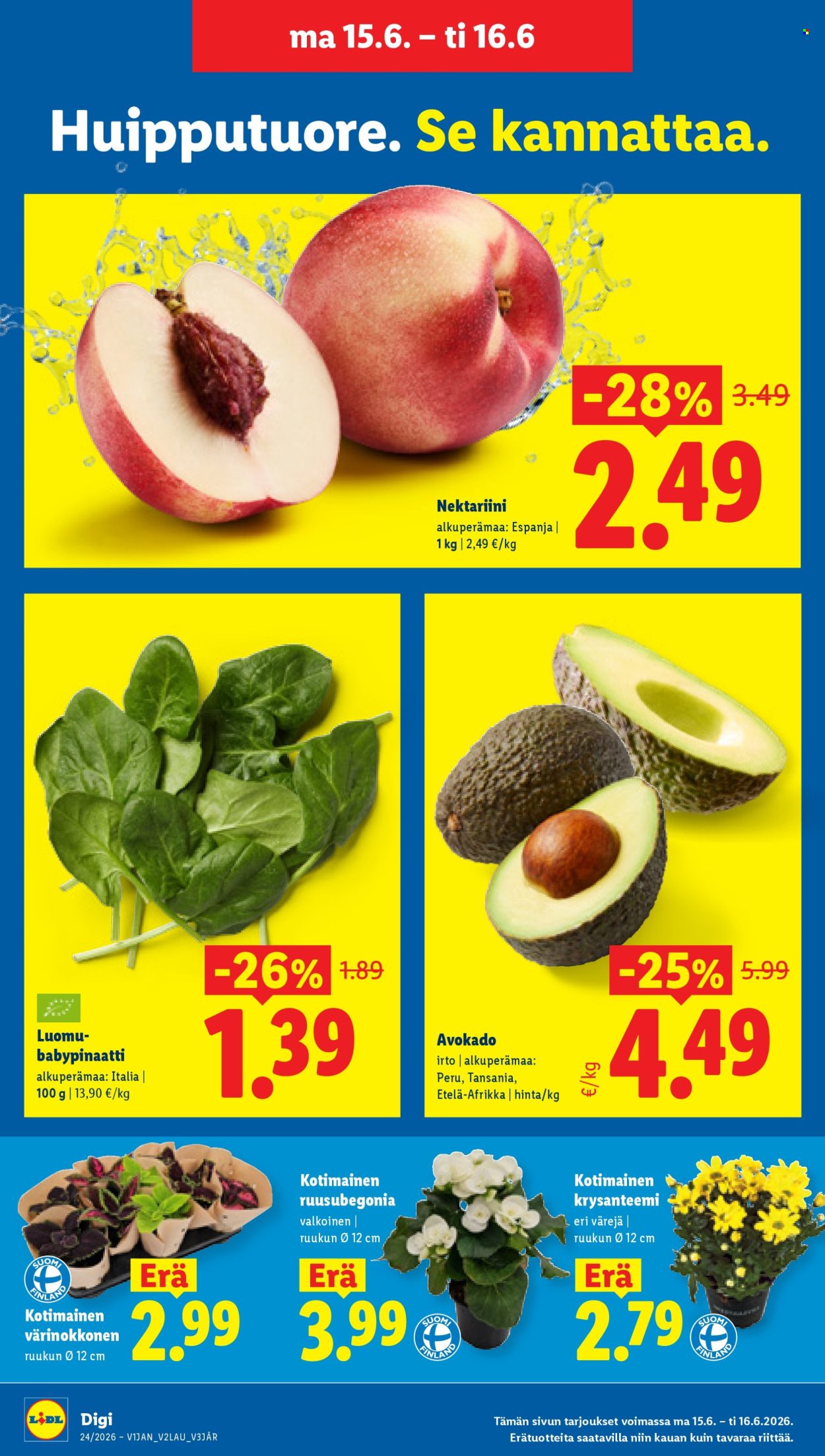 Lidl tarjouslehti  - 11.06.2026 - 16.06.2026. Sivu 23