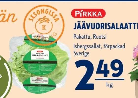 PIRKKA JÄÄVUORISALAATTI