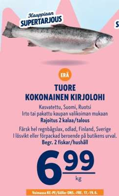 Tuore kokonainen kirjolohi