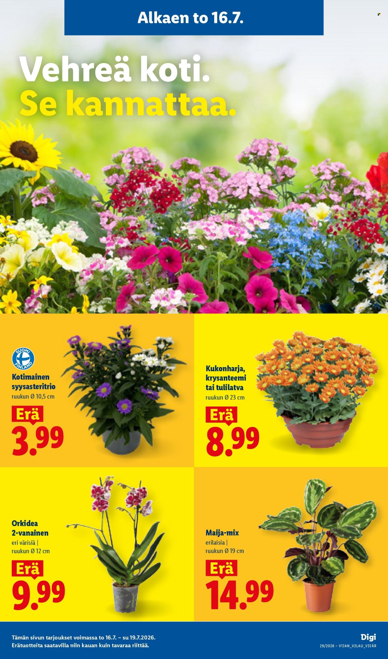 Lidl tarjouslehti  - 16.07.2026 - 22.07.2026. Sivu 15