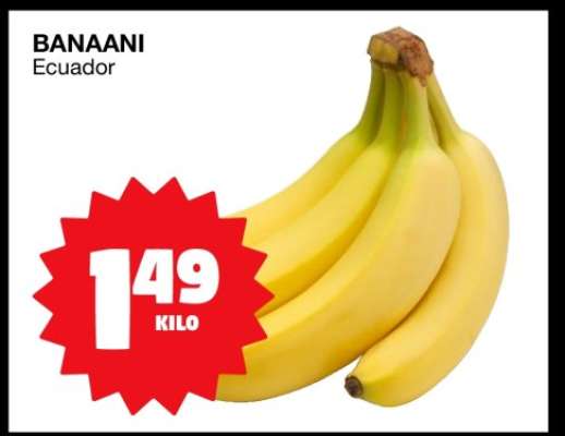 Banaani