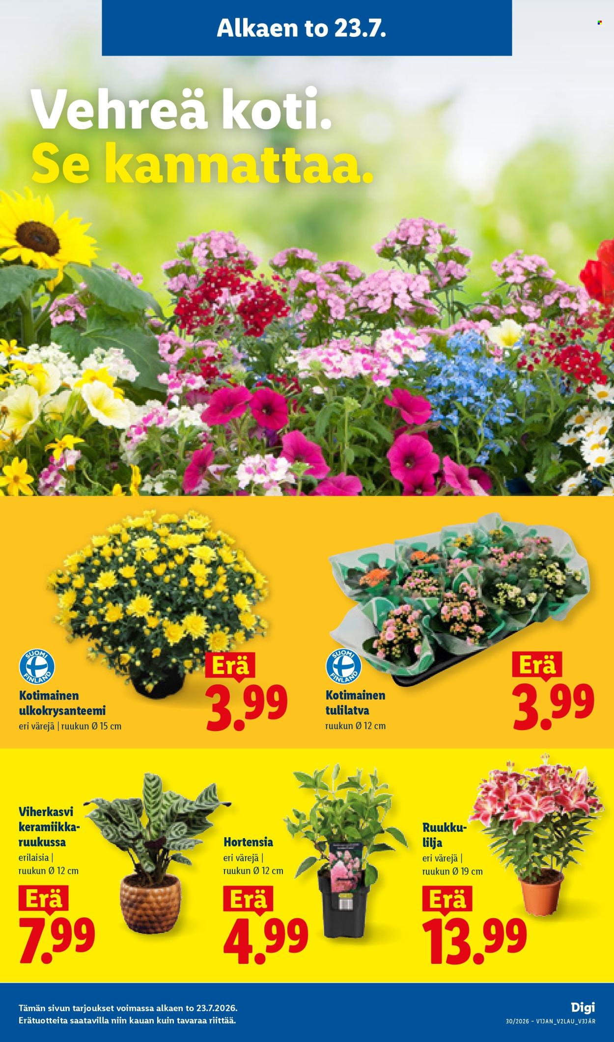 Lidl tarjouslehti  - 23.07.2026 - 29.07.2026. Sivu 16