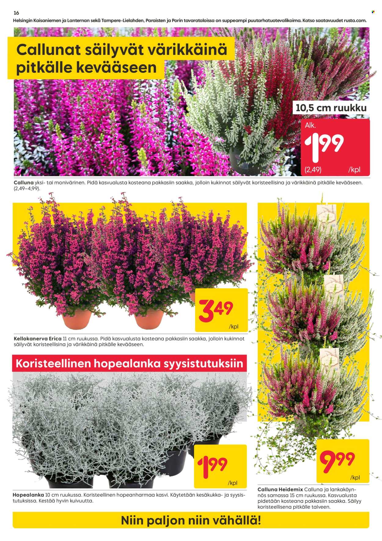 Rusta tarjouslehti  - 24.08.2026 - 30.08.2026. Sivu 16
