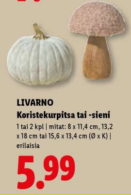 LIVARNO Koristekurpitsa tai -sieni