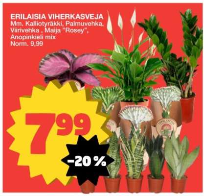 ERILAISIA VIHERKASVEJA