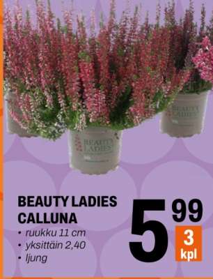 BEAUTY LADIES CALLUNA