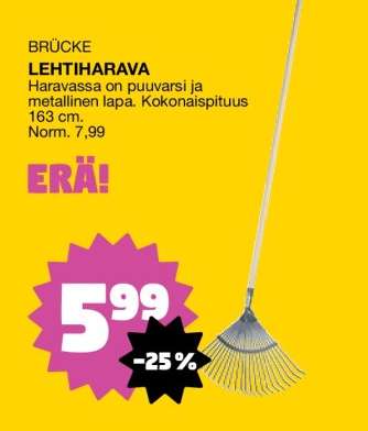 BRÜCKE LEHTIHARAVA