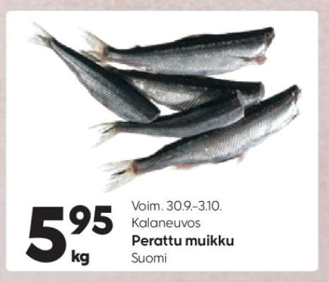 Perattu muikku