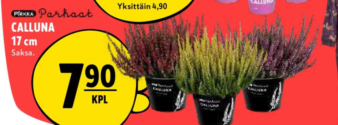 Pirkka Parhaat CALLUNA