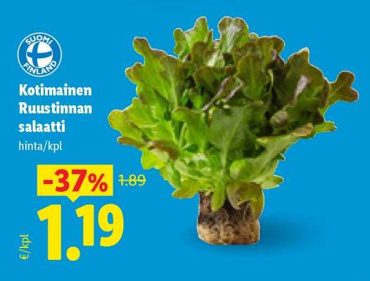 Kotimainen Ruustinnan salaatti