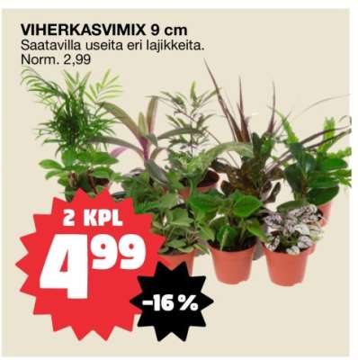 VIHERKASVIMIX 9 cm