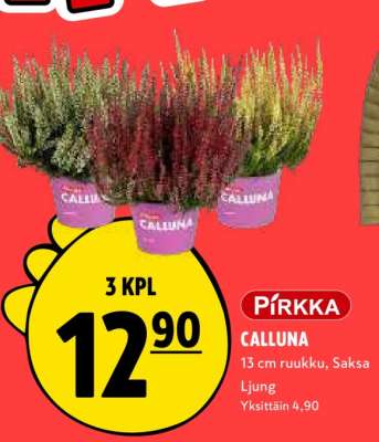 PIRKKA CALLUNA